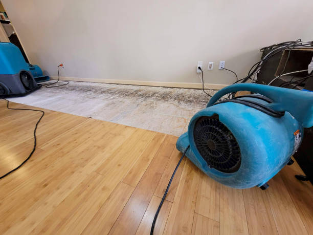 Professional Water Damage Repair technician working in Sweetwater, FL